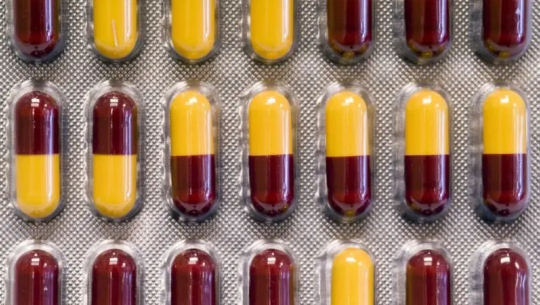 पशुपक्षीमा जथाभावी ‘एन्टिबायोटिक’ प्रयोग नगर्न आग्रह