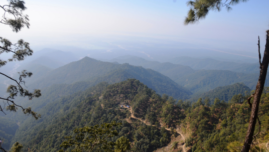 कैलालीमा स्थानीय तहहरुबाटै चुरे क्षेत्रको अवैध दोहन