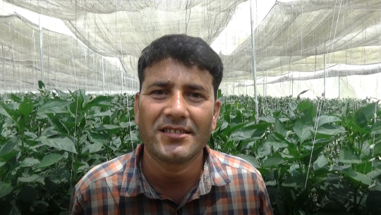 नेपालमा त सुन फलाउने माटो छ, के लागि विदेश जाने ? (भिडियो)