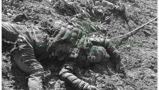 बझाङमा स्काइभेटर दुर्घटना हुँदा सहचालकको मृत्यु, चालक घाइते