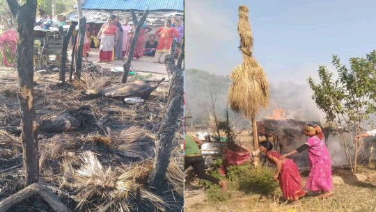 Fire in Shed in Kailali Results in Loss of Livestock