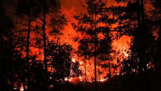 डोटीमा वनमा लागेको आगोबाट एक मिल र तीन गोठमा आगलागी