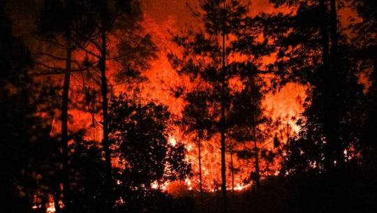 डोटीको एक जङगलमा लागेको आगोबाट गोठमा आगलागी