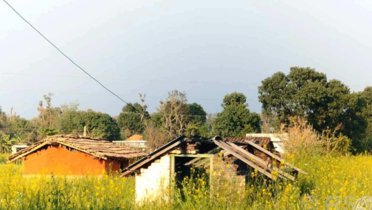 कञ्चनपुरको गुन्यालफाँटाका दुई दर्जन बढी बादी परिवारका घरमा ताला