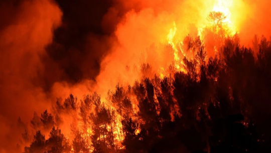 फाइल फोटो