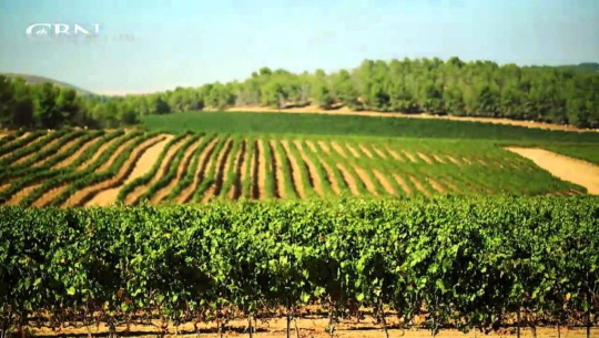 प्राङ्गारिक कृषि रणनीति चाँडै