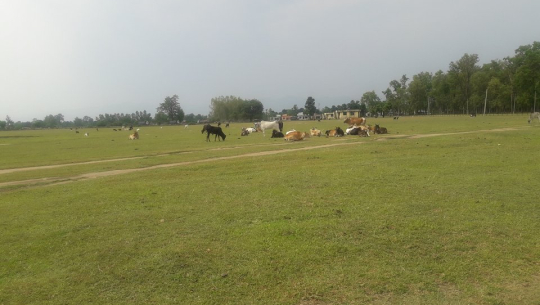 मझगाउँ विमानस्थल