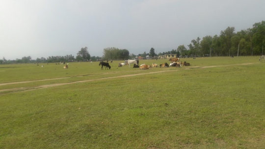 Agreement reached to reopen Mahendranagar Airport