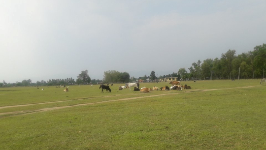 कञ्चनपुरको मझगाउँ विमानस्थल निर्माण गर्न अझै भएन सम्झौता