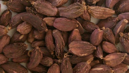 अलैँचीको मूल्य वृद्धि नहुँदा किसानलाई पिरलो