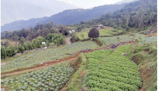 फाईल फोटो 