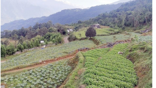 फाईल फोटो