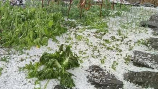 फाइल फोटो 