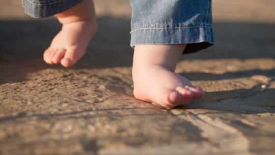 मानिसहरुले यसरी सिकेका थिए उभिएर हिँड्न!