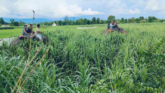 फाइल फोटो