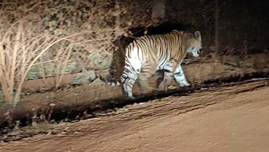 फाइल फोटो