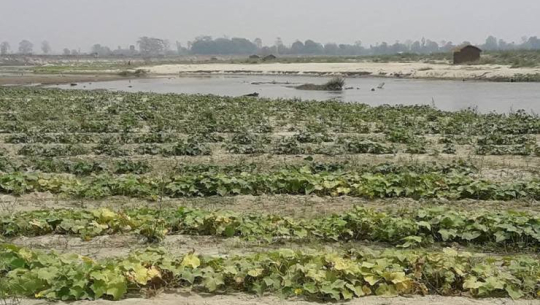 फाईल फोटो 