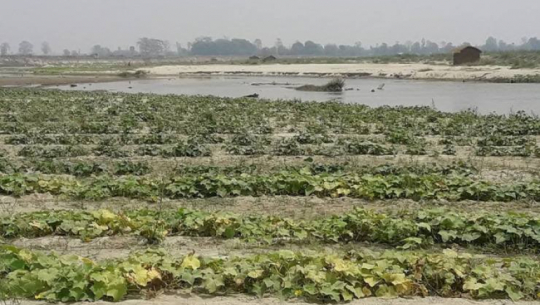 फाइल फोटो