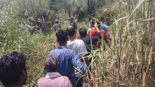बाघको आक्रमणमा बेपत्ता महिला परिनन् फेला, ढुंगा प्रहारबाट प्रहरी घाइते