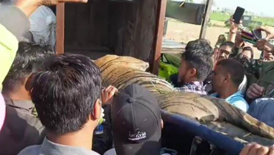 कञ्चनपुरमा महिलालाई आक्रमण गर्ने बाघ नियन्त्रणमा 