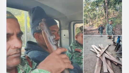 कैलालीको गोदावरीबाट काठसहित एक जना पक्राउ
