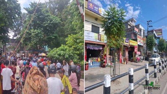 सुनसान धनगढी, किनमेल गर्न जानेको गौरीफन्टा नाकामा घुइँचो