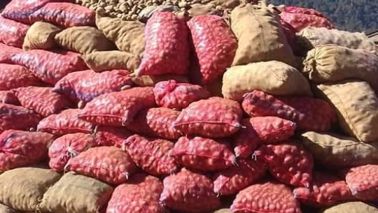 बाजुराको आलु महोत्सव सम्पन्न, पाँच सय क्वीन्टल बिक्रि