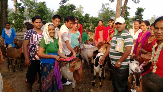 सामुदायिक बनद्वारा बाख्रा वितरण