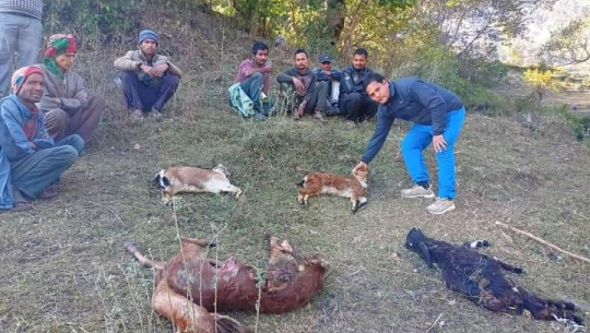 फोटोः बान्निगढी टुडे 