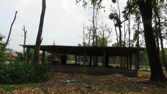 कैलालीको वन क्षेत्रको अतिक्रमण हटाउने अभियान औपचारिकतामै सीमित