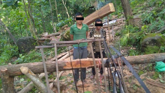 कैलालीमा भरुवा बन्दुकसहित अवैध काठ चिरानमा संलग्न दुई जना पक्राउ