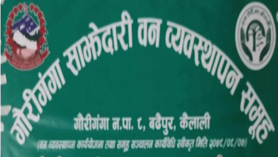 समुहका सदस्यबिचको विवादले गौरीगङ्गा साझेदारी वन कार्यान्वयनमा समस्या