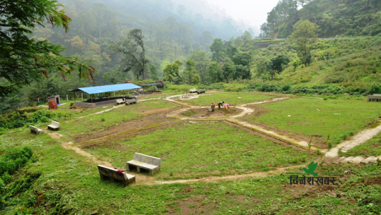 पर्यापर्यटनका नाममा कैलालीका सामुदायिक वनको दुरुपयोग, वन क्षेत्रमा बन्न लागे संरचना