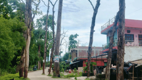 सुविधा र रोजगारी खोज्दै पहाडबाट तराई झर्ने बढे