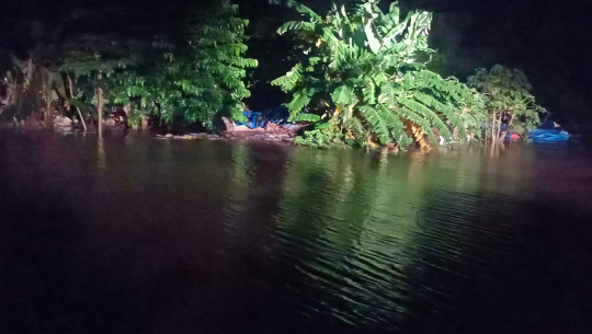 कञ्चनपुरको वनहरा शिविर डुवानमा