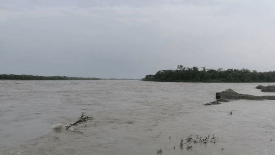 Six people died due to flood in Madhes province, losses amount Rs 5.6 million