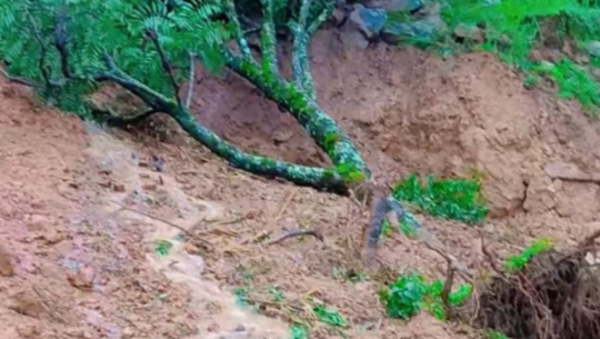 Landslide Damage in Purchoudi Prompts Demand for Immediate On-Site Inspection