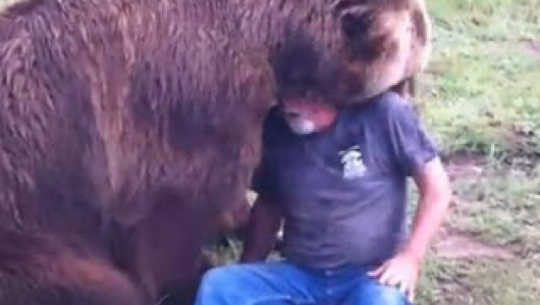 Two wounded in a bear attack in Bajura