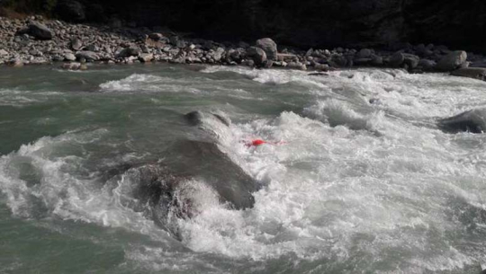 फाइल फोटो