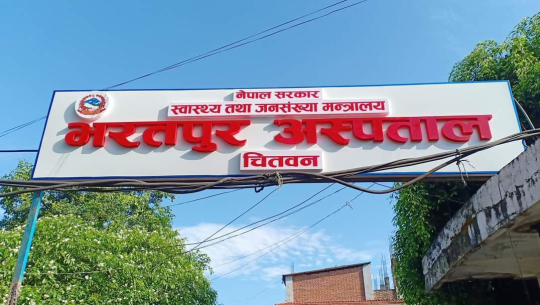 भरतपुर अस्पतालमा ‘निलो रूख’