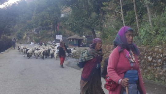 फाइल फोटो