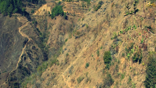 बाजुरामा भिरबाट लडेर एक युवकको मृत्यु