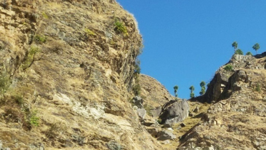 भासुमा भिरबाट लडेर एक जनाको मृत्यु