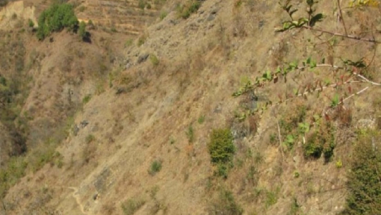 Girl Injured in Cliff Fall in Baitadi