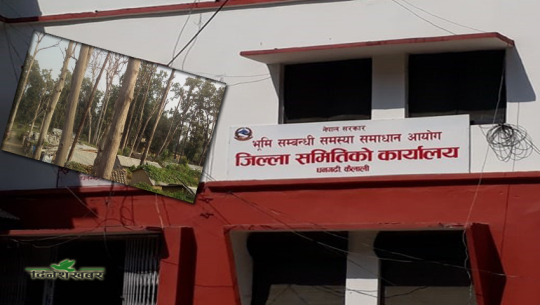 कैलाली र कञ्चनपुरमा २५ हजार हेक्टर वन अतिक्रमण, लालपुर्जाको लागि भूमि आयोगमा निवेदन