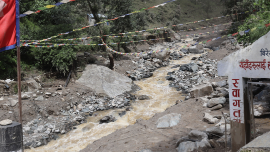 बाजुराको वीरेखोला बाढीः २३ परिवार विस्थापित, धानखेत बगरमा परिणत