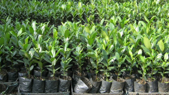 फाइल फोटो 