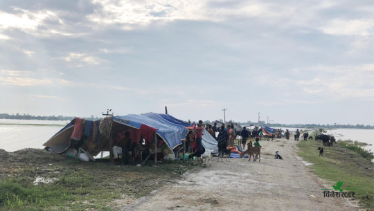 कैलालीमा बाढी र डुबानले के–कति क्षति भयो ? 