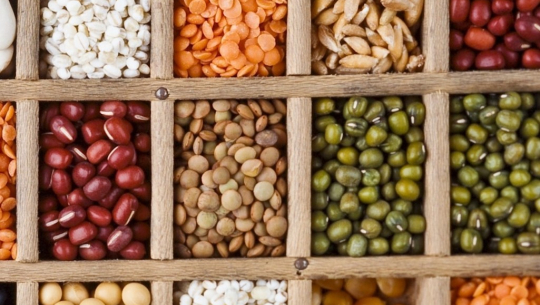 कृष्णपुर नगरपालिकाद्वारा कृषक समूहलाई बीउबिजन वितरण