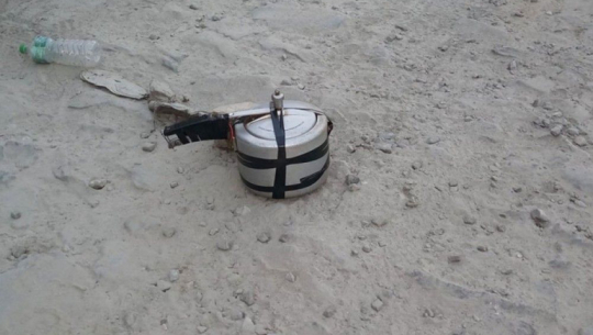 फाइल फोटो 